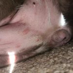 20201102_142717.jpg