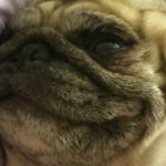 Profile picture of Laurie